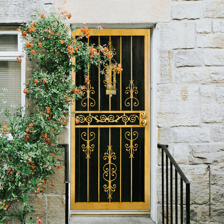 309 Laser Cut Security Storm Door