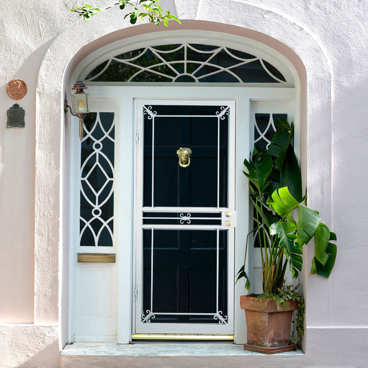 Gladiator Security Storm Door