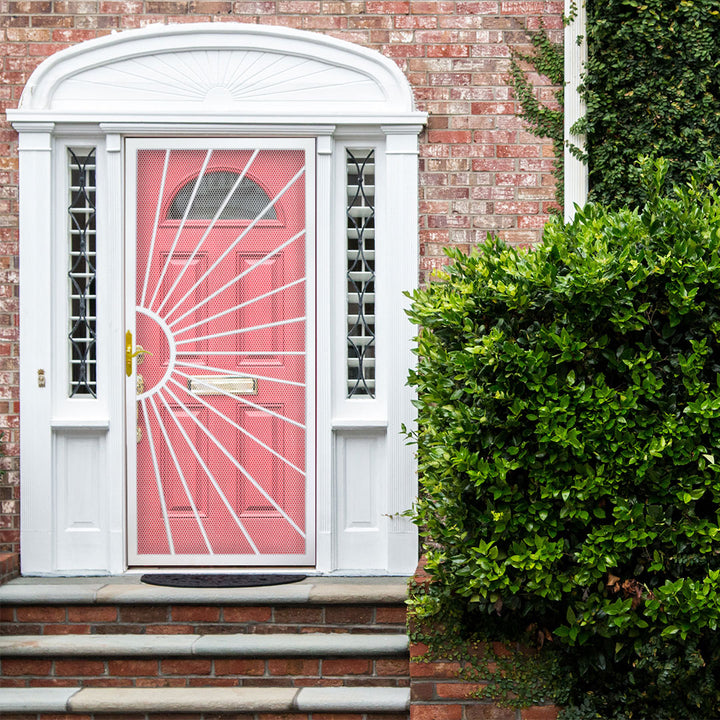 20 Slim-Line Security Screen Door